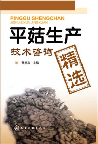 平菇生产技术咨询精选与全程技术转让指南